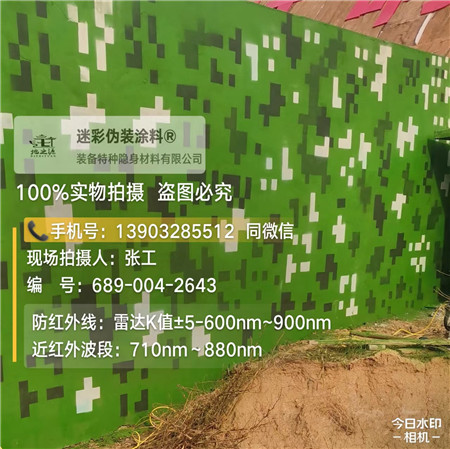 齐齐哈尔星空迷彩漆，夏令营训练,数码迷彩作训墙,围墙