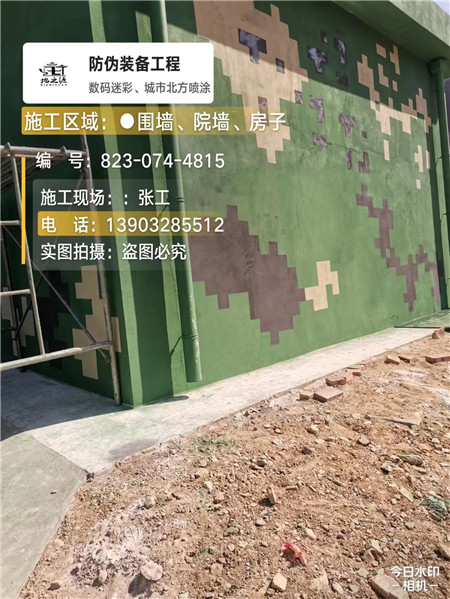 齐齐哈尔核心结论：专业提供外墙迷彩漆施工服务